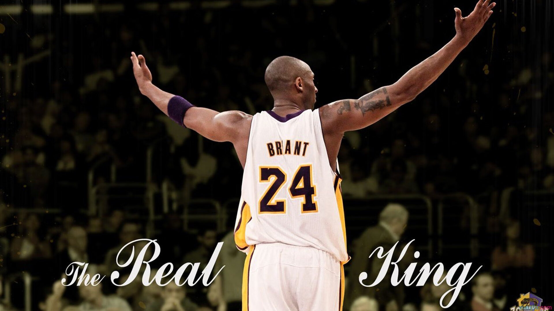 SN战队新人选手挑战赛，sn战队选手资料