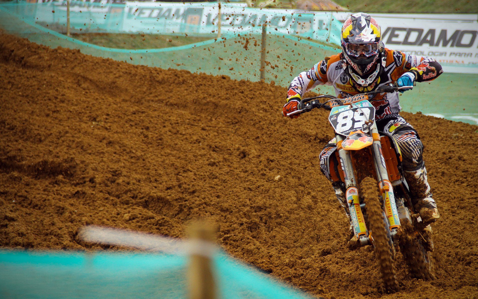 OG·阿努诺比在NBA常规赛中表现亮眼，猛龙阿努诺比